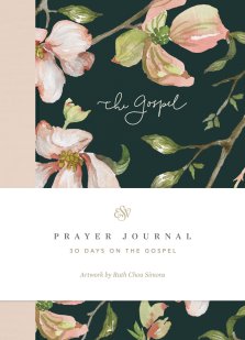 ESV Prayer Journal