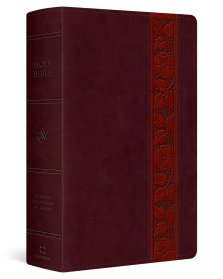 ESV Large Print Personal Size Bible, Red Letter (TruTone, Mahogany, Trellis Design)