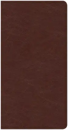 CSB Share Jesus Without Fear New Testament, Brown Leathertouch