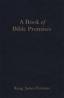 KJV Book of Bible Promises Midnight Blue [eBook]