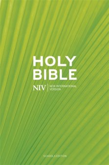 NIV Schools Bible Green Value Pack of 20