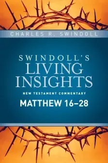 Insights on Matthew 16--28