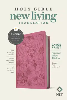 NLT Large Print Bible, Pink, Imitation Leather, Filament, Premium Value, Print + Digital Bible, App Content, Study Material, Devotional Material