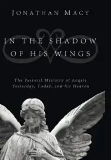 In the Shadow of His Wings