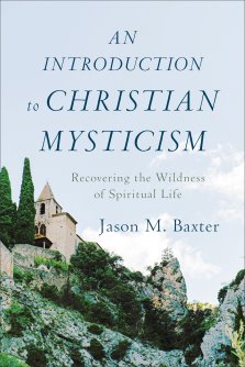 An Introduction to Christian Mysticism: Recovering the Wildness of Spiritual Life