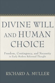 Divine Will and Human Choice: Freedom, Contingency, and Necessity in Early Modern Reformed Thought