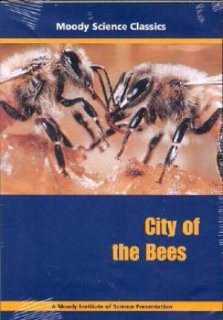 City Of The Bees DVD