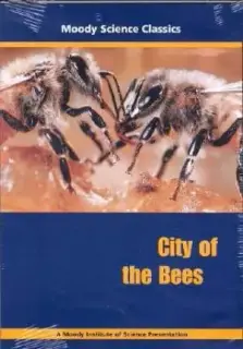 City Of The Bees DVD