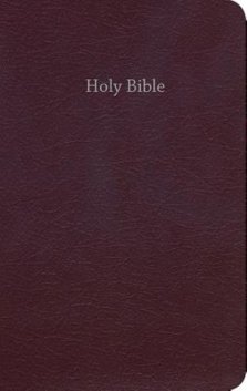 CEB Common English Bible Gift & Award Burgundy Red Letter Edition