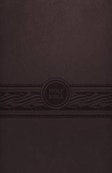 MEV Personal Size Large Print Bible