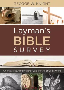 Layman's Bible Survey: An Illustrated, "Big Picture" Guide to All of God's Word