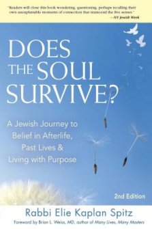 Does the Soul Survive? (2nd Edition): A Jewish Journey to Belief in Afterlife, Past Lives & Living with Purpose