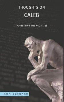 Thoughts on Caleb: Possessing the Promises