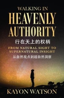 From Natural Sight To Supernatural Insight