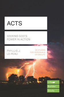 Lifebuilder Bible Study: Acts