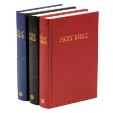 KJV Bible: Black, Hardback, Reading Plan, Concordance, Presentation Page, Line Drawings, Sewn Binding