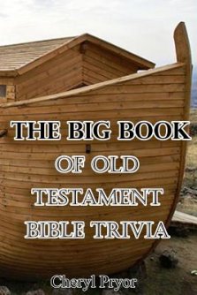 The Big Book Of Old Testament Bible Trivia