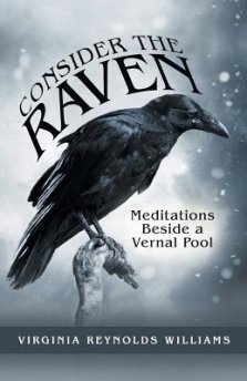 Consider The Raven