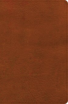 CSB Large Print Personal Size Reference Bible, Digital Study Edition, Burnt Sienna LeatherTouch