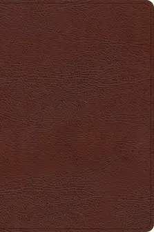 CSB Oswald Chambers Bible, Brown Bonded Leather