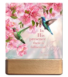 Night Light/Plaque-LED-Hummingbird Joy w/ Scripture (7"H)