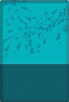 Woman After God's/Heart Bible-Teal (New)