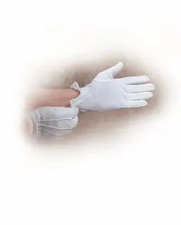 White Gloves - Large Cotton