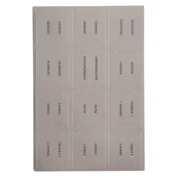 Bible Indexing Tabs Silver Foil w/Black Print