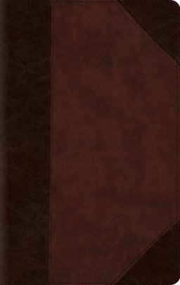 ESV Large Print Compact Bible