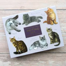 Fliplid Boxed Notecard Set - Patricia Maccarthy Cats