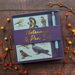 Notecard And Pen Set Boxed - Patricia Maccarthy Birds