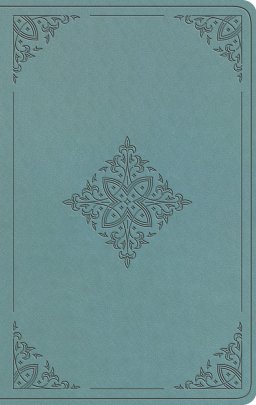 ESV Value Thinline Bible (TruTone, Paris Sky, Fleur-de-lis Design)