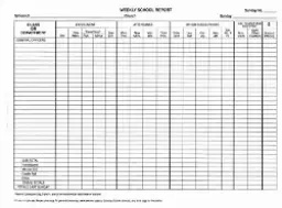 School Triplicate Report Book