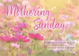 On Mothering Sunday - Postcard Pink (Pack of 24)