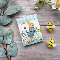 Mini Magnetic Notebooks - Peter Rabbit Pastel Stripes