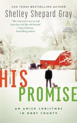 His Promise: An Amish Christmas in Hart County