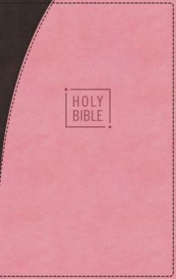 NIV Premium Gift Bible, Leathersoft, Pink/Brown, Red Letter Edition, Comfort Print