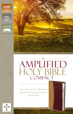 Amplified Compact Holy Bible: Camel/Burgundy, Imitation Leather