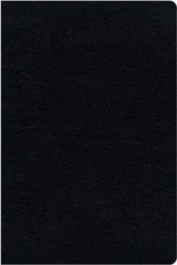 KJV, Amplified, Parallel Bible - Large Print, Bonded Leather, Black, Red Letter Edition