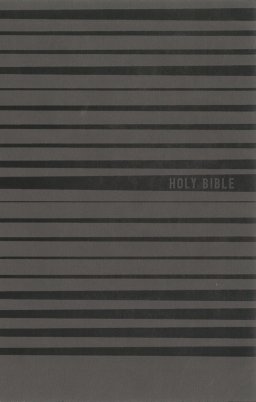 NIV, Holy Bible for Boys, Soft Touch Edition, Leathersoft, Gray, Comfort Print