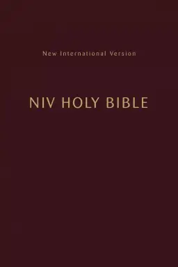 NIV, Holy Bible, Compact, Paperback, Burgundy, Comfort Print