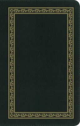 NIV, Personal Size Bible, Large Print, Premium Goatskin Leather, Green, Premier Collection, Black Letter, Gauffered Edges, Comfort Print