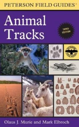 Animal Tracks : Third Edition