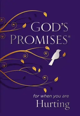 God's Promises for When You are Hurting