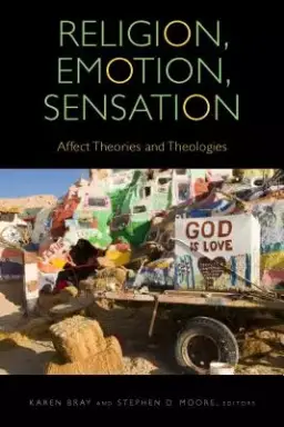 Religion, Emotion, Sensation: Affect Theories and Theologies