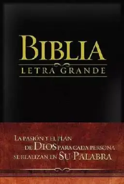 Large Print Bible