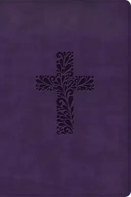 KJV Rainbow Study Bible, Purple LeatherTouch