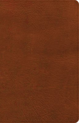 NASB Large Print Personal Size Reference Bible, Burnt Sienna LeatherTouch