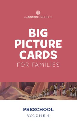 Gospel Project for Preschool: Preschool Big Picture Cards - Volume 4: From Unity to Division