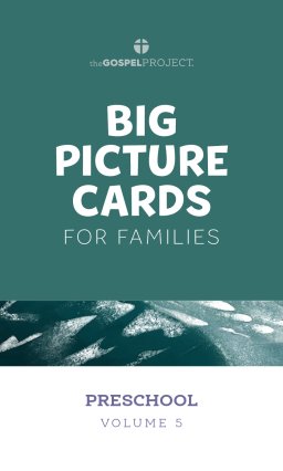 Gospel Project for Preschool: Preschool Big Picture Cards - Volume 5: From Rebellion to Exile